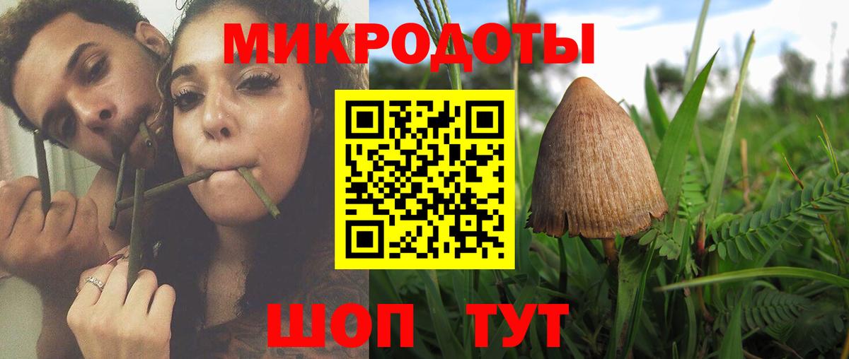 Галлюциногенные грибы Psilocybine cubensis  Вход с VPN  Дзержинск 