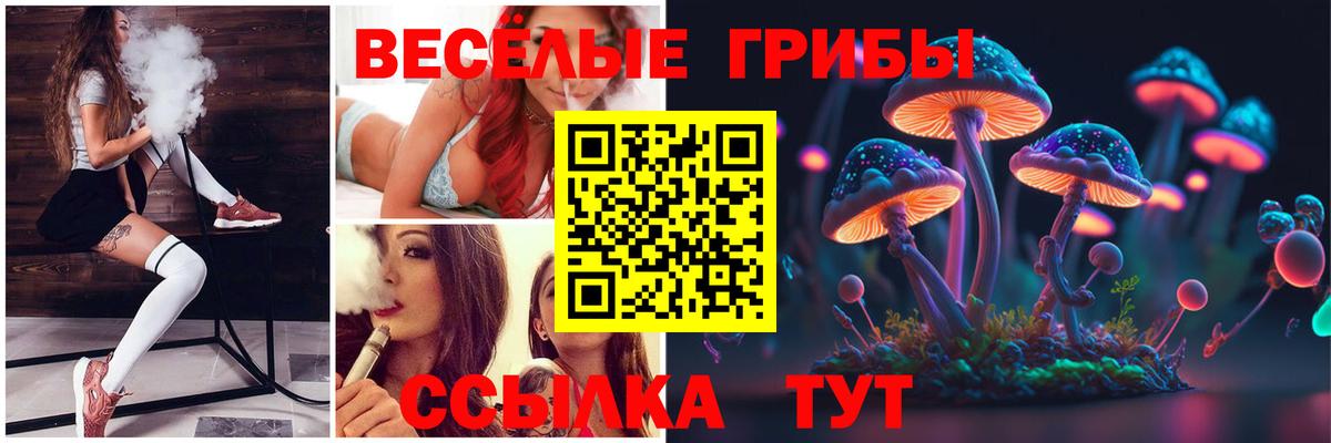 Галлюциногенные грибы MAGIC MUSHROOMS Дзержинск